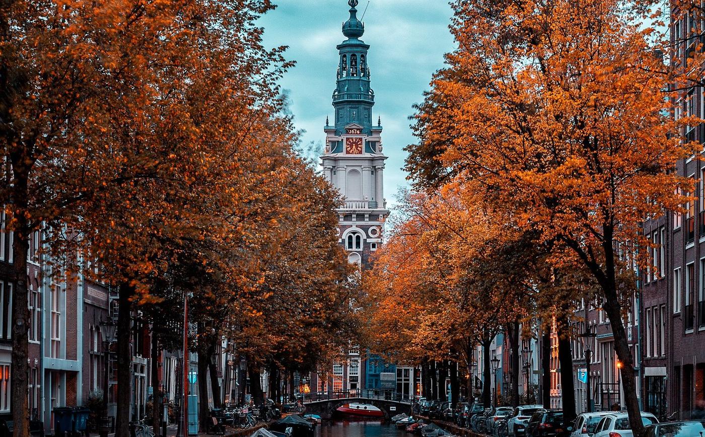 An Amsterdam canal in autumn, lined with orange trees