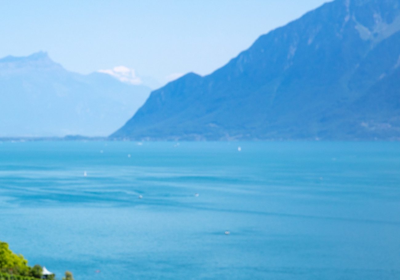 Lake Geneva and the Alps in summer